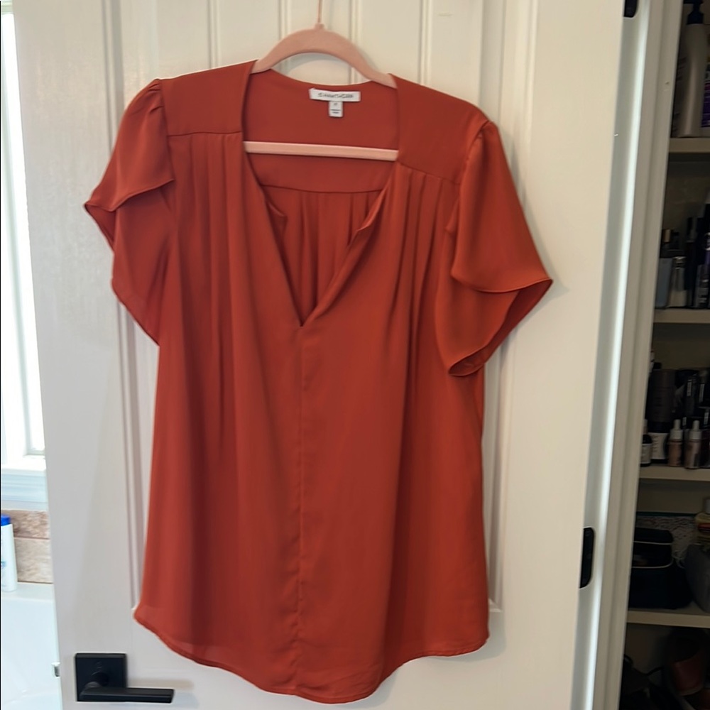 41 Hawthorn Brown Flutter Sleeve Blouse Relaxed Fit